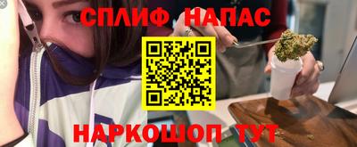 гидра Малгобек