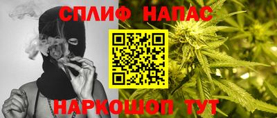гидра Малгобек