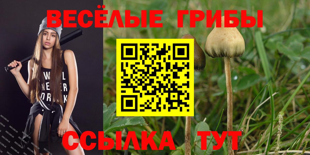 Псилоцибиновые грибы MAGIC MUSHROOMS  Вход с VPN  Галлюциногенные грибы мицелий  Зерноград 
