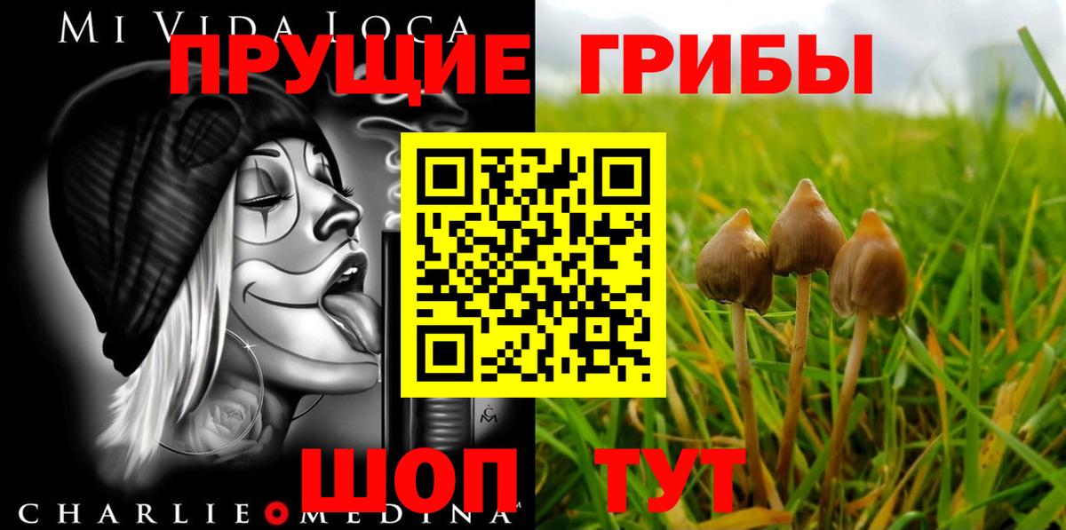 Псилоцибиновые грибы мицелий Зерноград